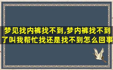 梦见找内裤找不到,梦内裤找不到了叫我帮忙找还是找不到怎么回事