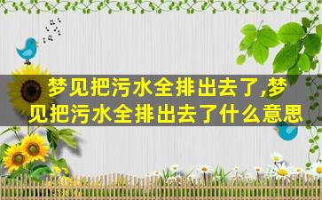 梦见把污水全排出去了,梦见把污水全排出去了什么意思