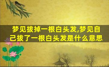 梦见拔掉一根白头发,梦见自己拔了一根白头发是什么意思