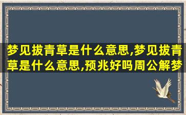 梦见拔青草是什么意思,梦见拔青草是什么意思,预兆好吗周公解梦