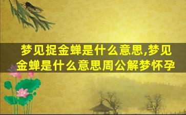 梦见捉金蝉是什么意思,梦见金蝉是什么意思周公解梦怀孕