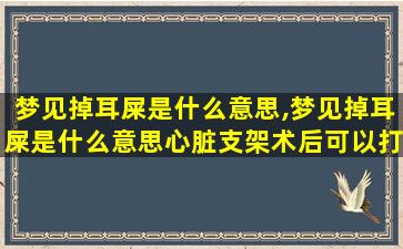 梦见掉耳屎是什么意思,梦见掉耳屎是什么意思心脏支架术后可以打牌吗