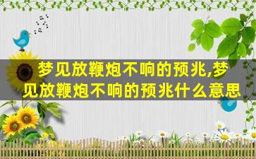 梦见放鞭炮不响的预兆,梦见放鞭炮不响的预兆什么意思