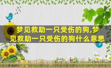 梦见救助一只受伤的狗,梦见救助一只受伤的狗什么意思