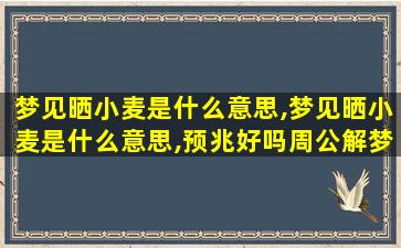 梦见晒小麦是什么意思,梦见晒小麦是什么意思,预兆好吗周公解梦