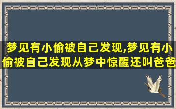 梦见有小偷被自己发现,梦见有小偷被自己发现从梦中惊醒还叫爸爸