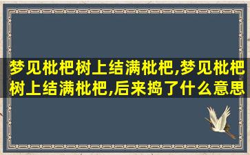 梦见枇杷树上结满枇杷,梦见枇杷树上结满枇杷,后来捣了什么意思