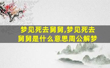 梦见死去舅舅,梦见死去舅舅是什么意思周公解梦