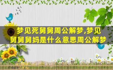 梦见死舅舅周公解梦,梦见舅舅舅妈是什么意思周公解梦