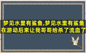 梦见水里有鲨鱼,梦见水里有鲨鱼在游动后来让我哥哥给杀了流血了