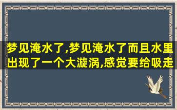 梦见淹水了,梦见淹水了而且水里出现了一个大漩涡,感觉要给吸走