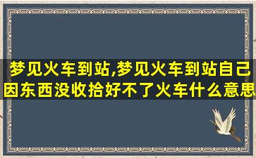 梦见火车到站,梦见火车到站自己因东西没收拾好不了火车什么意思