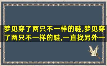 梦见穿了两只不一样的鞋,梦见穿了两只不一样的鞋,一直找另外一只