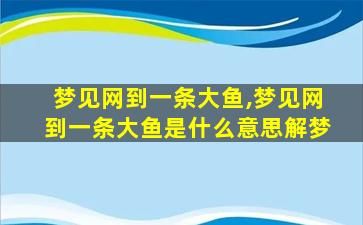 梦见网到一条大鱼,梦见网到一条大鱼是什么意思解梦