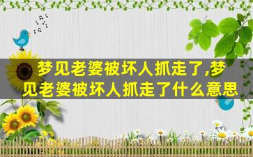 梦见老婆被坏人抓走了,梦见老婆被坏人抓走了什么意思