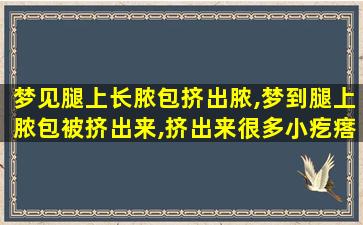 梦见腿上长脓包挤出脓,梦到腿上脓包被挤出来,挤出来很多小疙瘩