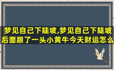 梦见自己下陡坡,梦见自己下陡坡后面跟了一头小黄牛今天财运怎么样