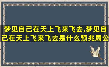 梦见自己在天上飞来飞去,梦见自己在天上飞来飞去是什么预兆周公解梦