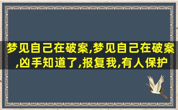 梦见自己在破案,梦见自己在破案,凶手知道了,报复我,有人保护我