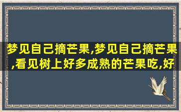 梦见自己摘芒果,梦见自己摘芒果,看见树上好多成熟的芒果吃,好