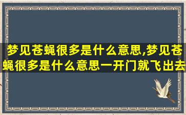 梦见苍蝇很多是什么意思,梦见苍蝇很多是什么意思一开门就飞出去了