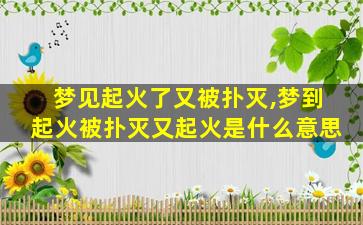 梦见起火了又被扑灭,梦到起火被扑灭又起火是什么意思