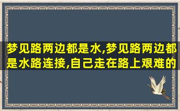 梦见路两边都是水,梦见路两边都是水路连接,自己走在路上艰难的行走