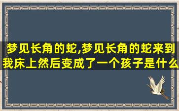 梦见长角的蛇,梦见长角的蛇来到我床上然后变成了一个孩子是什么意思