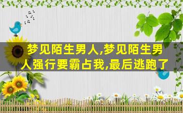 梦见陌生男人,梦见陌生男人强行要霸占我,最后逃跑了