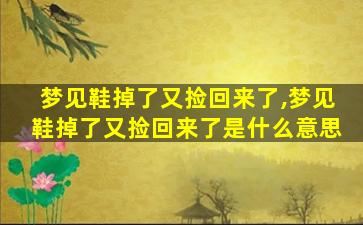 梦见鞋掉了又捡回来了,梦见鞋掉了又捡回来了是什么意思