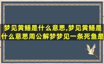 梦见黄鳝是什么意思,梦见黄鳝是什么意思周公解梦梦见一条死鱼是什么意思