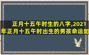 正月十五午时生的八字,2021年正月十五午时出生的男孩命运如何