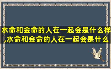 水命和金命的人在一起会是什么样,水命和金命的人在一起会是什么样子