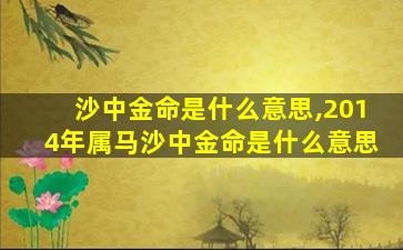 沙中金命是什么意思,2014年属马沙中金命是什么意思