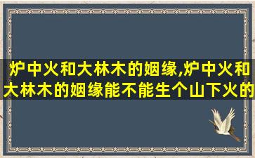 炉中火和大林木的姻缘,炉中火和大林木的姻缘能不能生个山下火的孩子