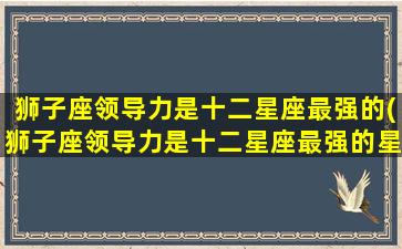 狮子座领导力是十二星座最强的(狮子座领导力是十二星座最强的星座吗)