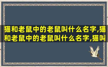 猫和老鼠中的老鼠叫什么名字,猫和老鼠中的老鼠叫什么名字,猫叫什么名字