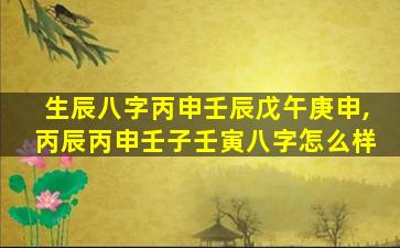 生辰八字丙申壬辰戊午庚申,丙辰丙申壬子壬寅八字怎么样