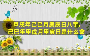 甲戌年己巳月庚辰日八字,己巳年甲戌月甲寅日是什么命