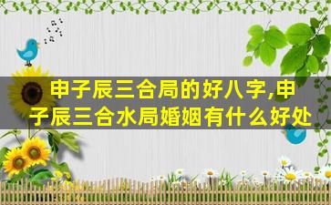 申子辰三合局的好八字,申子辰三合水局婚姻有什么好处