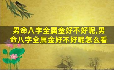 男命八字全属金好不好呢,男命八字全属金好不好呢怎么看