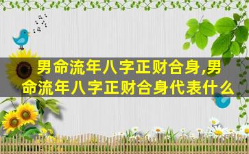 男命流年八字正财合身,男命流年八字正财合身代表什么