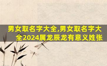 男女取名字大全,男女取名字大全2024属龙辰龙有意义姓张