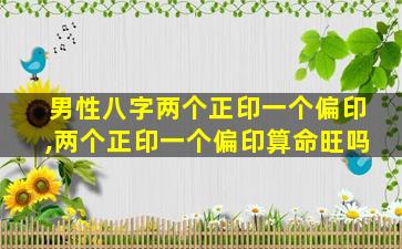 男性八字两个正印一个偏印,两个正印一个偏印算命旺吗