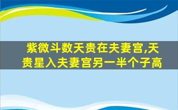 紫微斗数天贵在夫妻宫,天贵星入夫妻宫另一半个子高