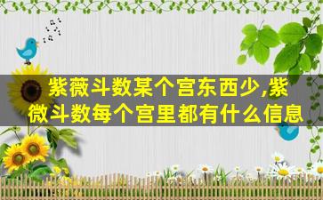 紫薇斗数某个宫东西少,紫微斗数每个宫里都有什么信息