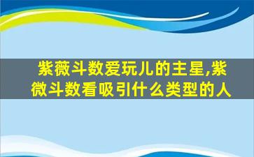 紫薇斗数爱玩儿的主星,紫微斗数看吸引什么类型的人