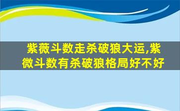 紫薇斗数走杀破狼大运,紫微斗数有杀破狼格局好不好