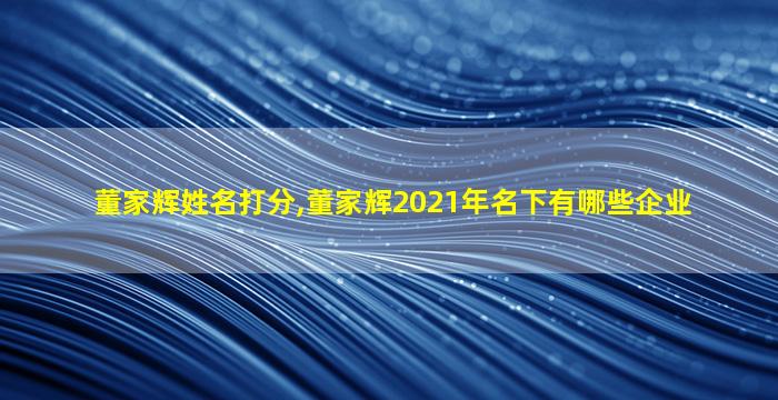 董家辉姓名打分,董家辉2021年名下有哪些企业