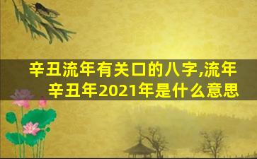 辛丑流年有关口的八字,流年辛丑年2021年是什么意思